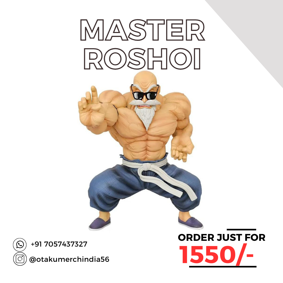 DBZ Master Roshi Action Figure